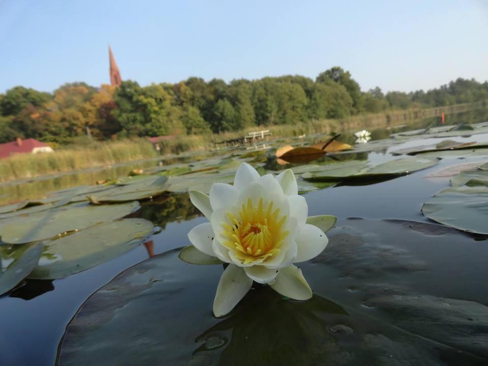 Agroturystyka Chycina 외부 사진